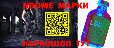 индика Можга