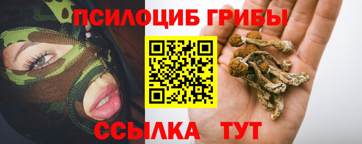 Псилоцибиновые грибы GOLDEN TEACHER Шарыпово